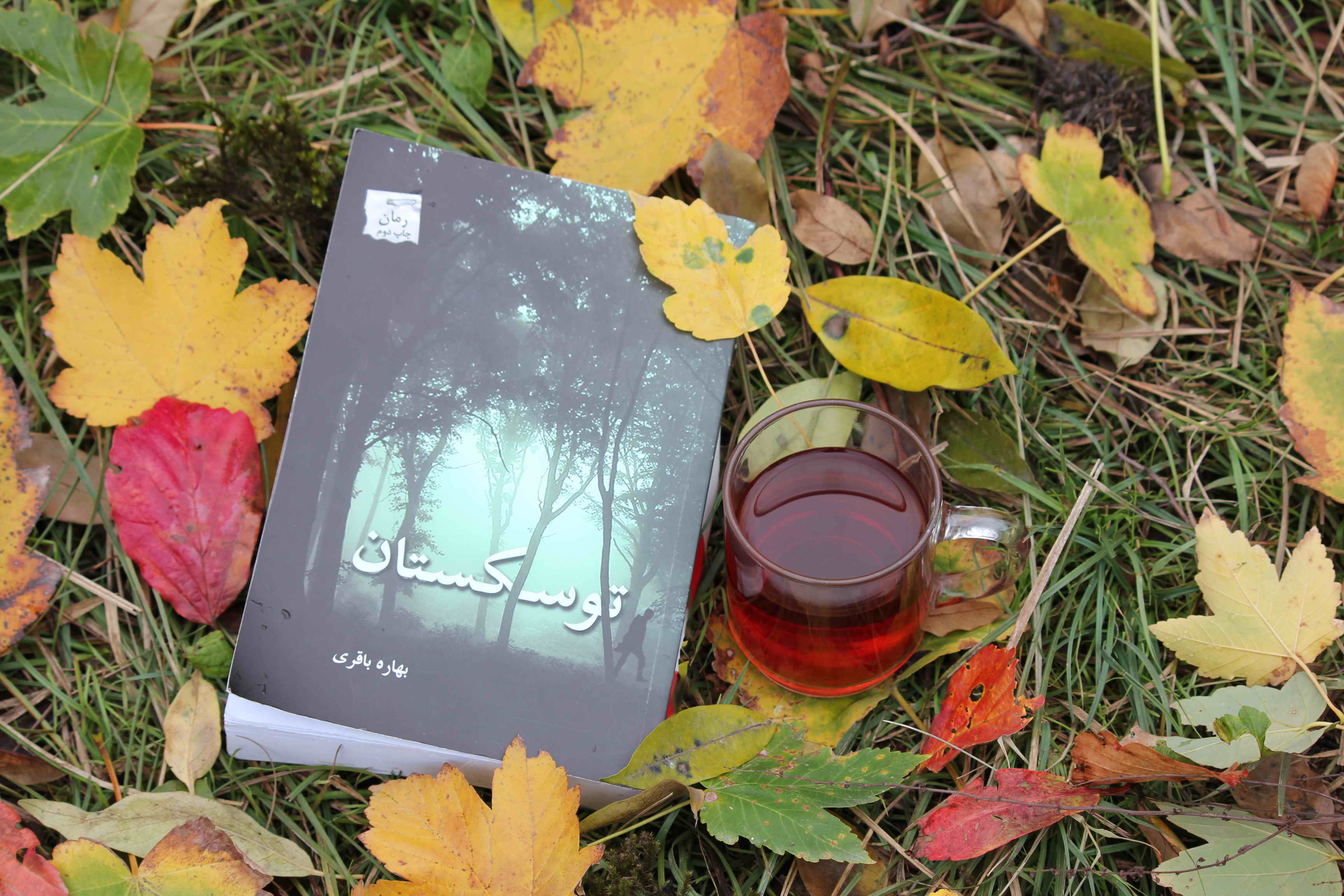 توسکستان/ بهاره باقری